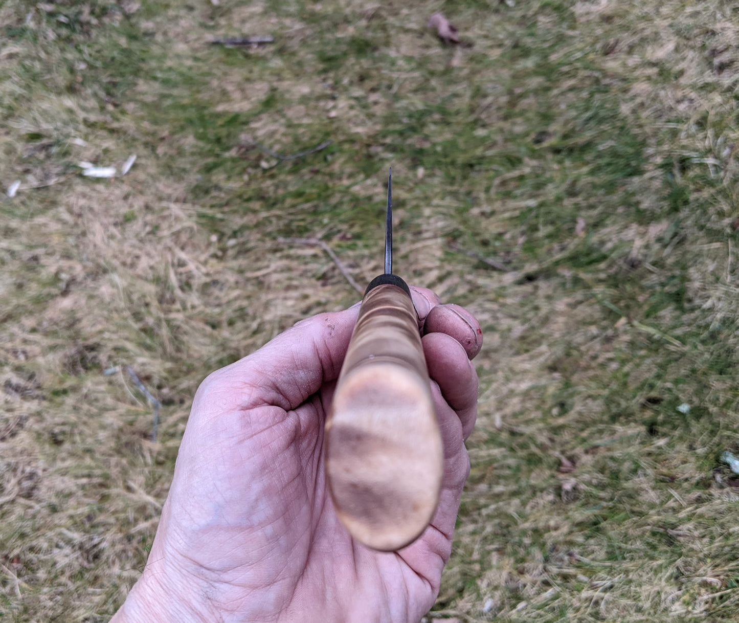 7 inch Bunka with Poplar burl handle
