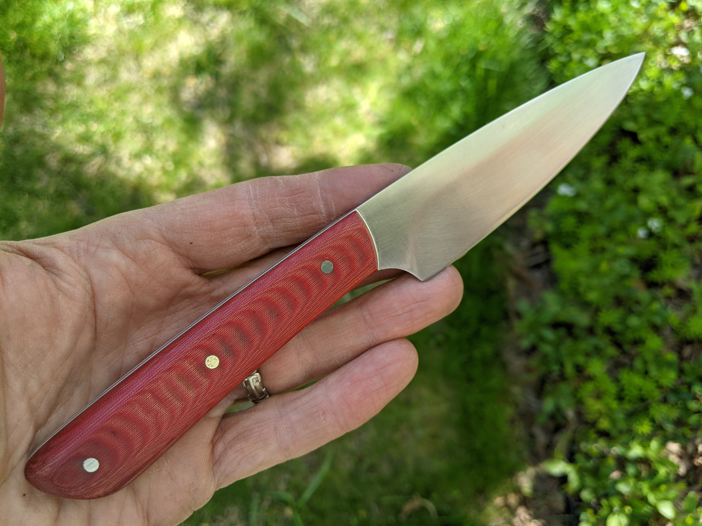 Paring knife with red Micarta handle